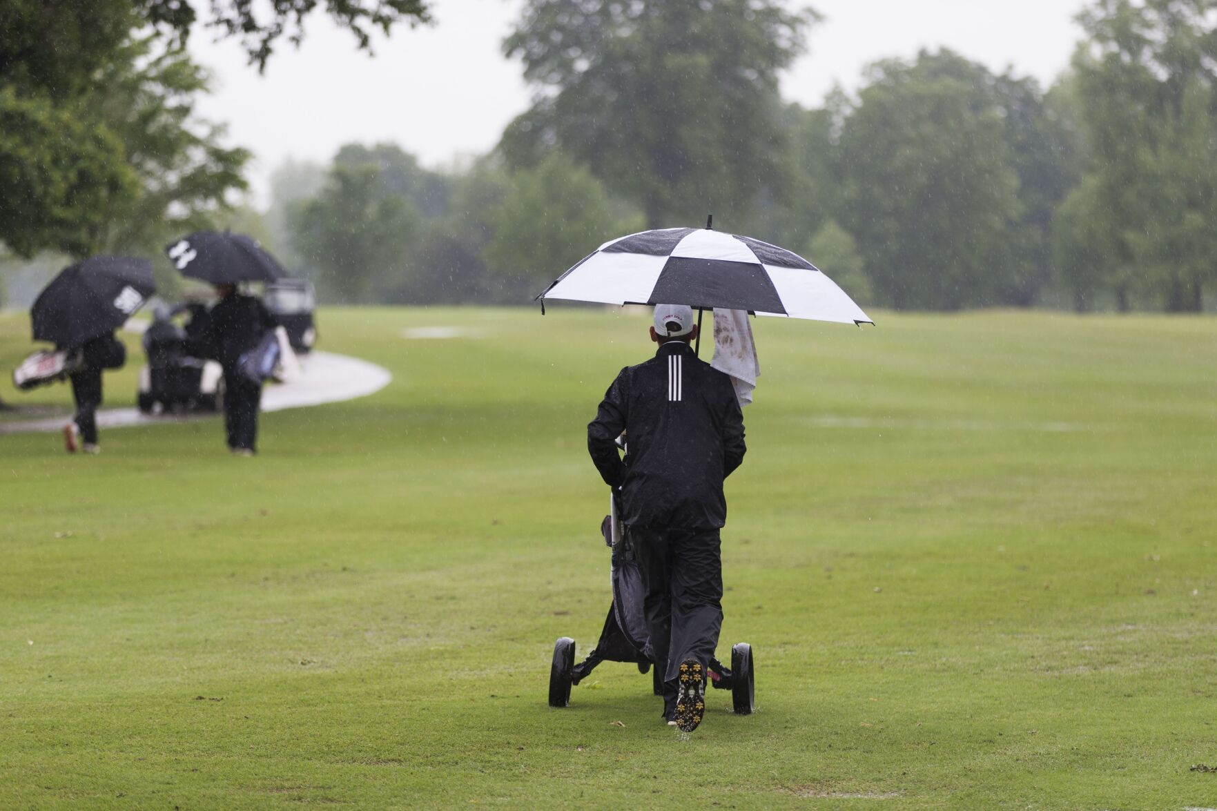 Boys State Golf Championships